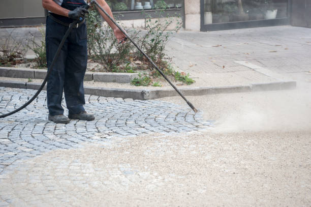Best Pre-Holiday Cleaning  in Califon, NJ